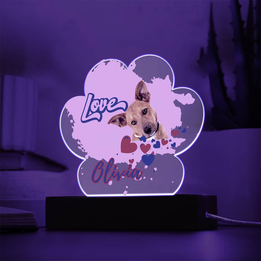 Personalized Paw Acrylic Plaque Decor. Pet Lover, Cat, Dog, Mom and Dad Photo Gif