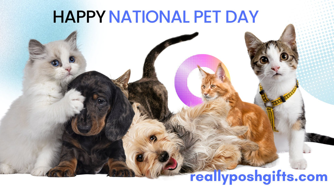 Celebrate National Pet Day with Paw-some Gifts: A Tribute to Our Furry Friends - reallyposhgifts