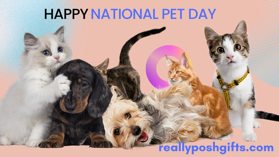 Paws and Reflect: National Pet Day and the Wonders of Pet Parenthood - reallyposhgifts