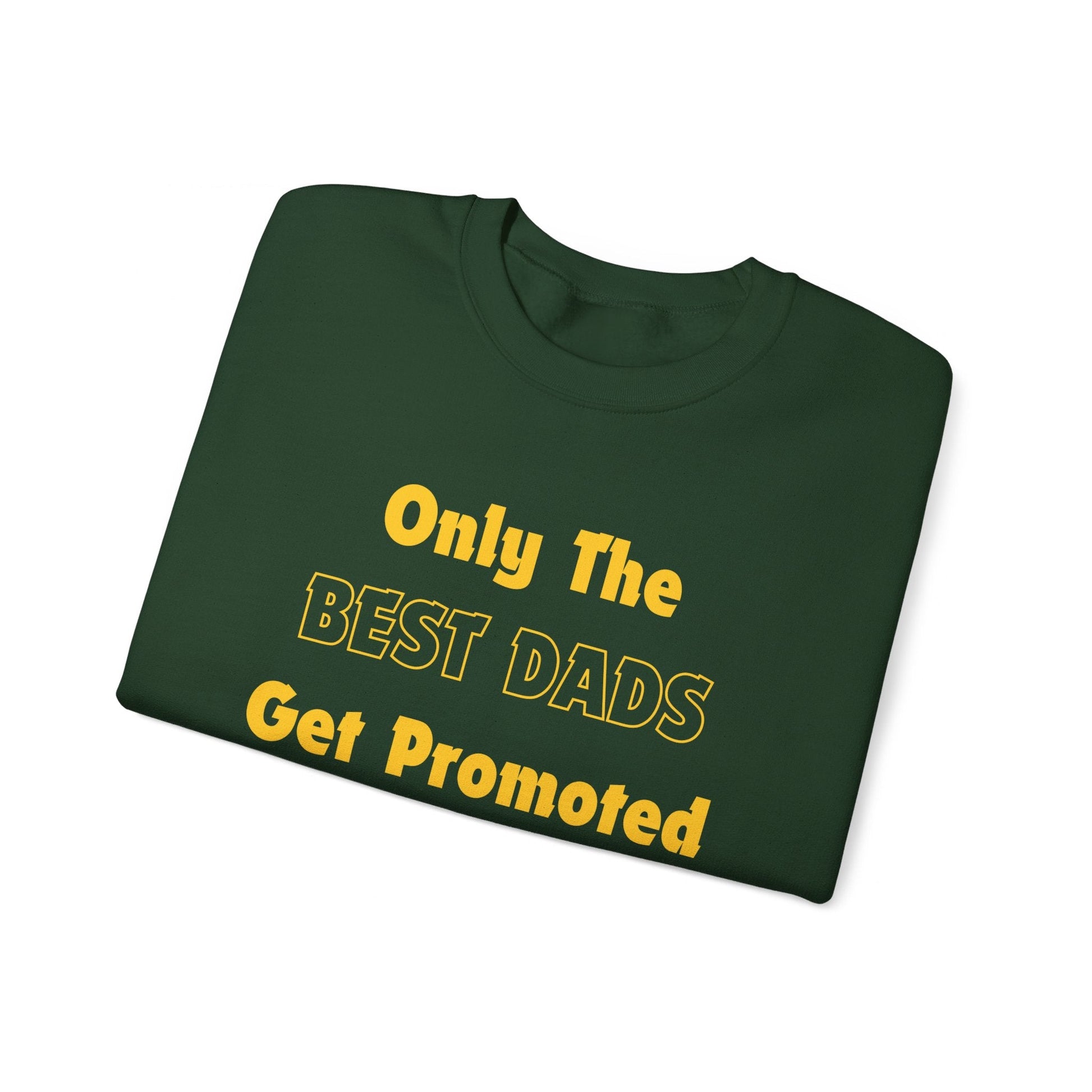 Best Dad Promoted To Grandpa Personalized Sweatshirt - reallyposhgifts